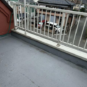 屋上